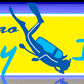 Easy Divers