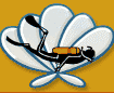 Seashell Dive Center