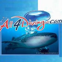 All 4 Diving