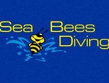 See Bees Diving