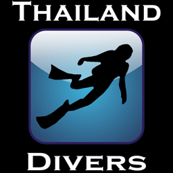 Thailand Divers