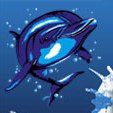 Searobin Dive Center