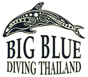 Big Blue Diving Khao Lak