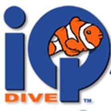 IQ Dive