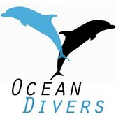 Ocean Divers